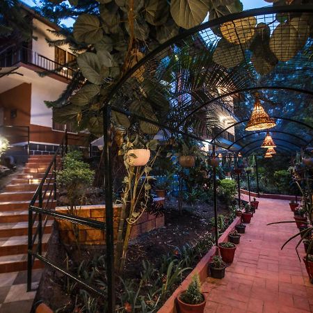 Spice Jungle Holiday Resort Munnar Exterior foto